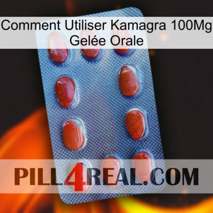 Comment Utiliser Kamagra 100Mg Gelée Orale 06